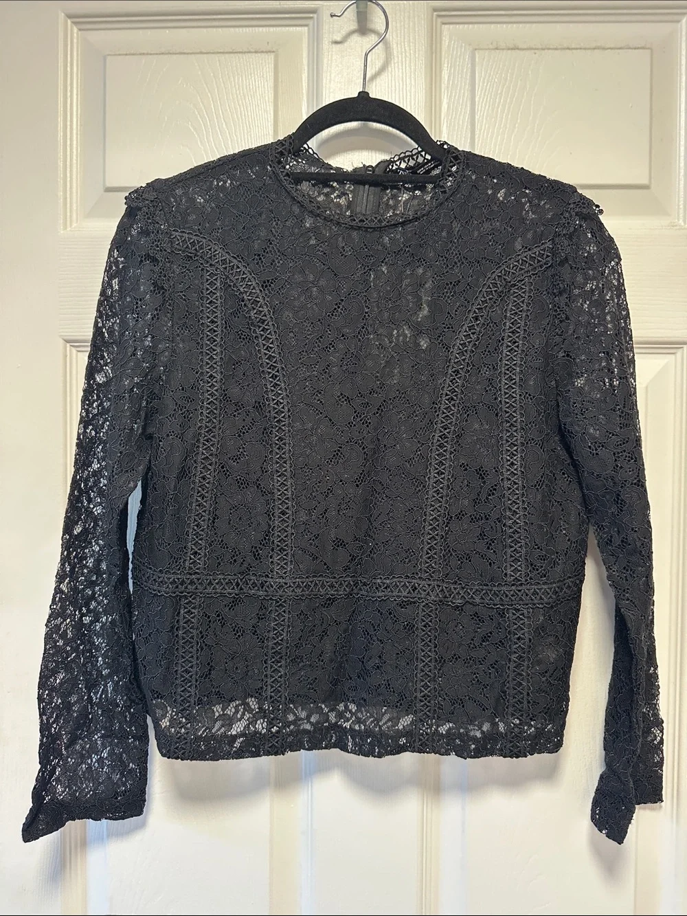 Zara Black Sheer Lace Long Sleeve Top